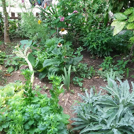 By The Sea Kastel Kambelovac, - 14364 *